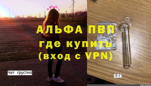 ПСИЛОЦИБИНОВЫЕ ГРИБЫ Заволжье