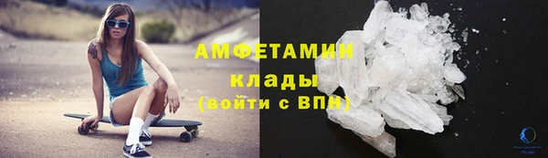 ПСИЛОЦИБИНОВЫЕ ГРИБЫ Заволжье