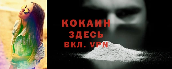 ПСИЛОЦИБИНОВЫЕ ГРИБЫ Заволжье