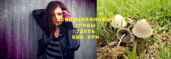 spice Заводоуковск