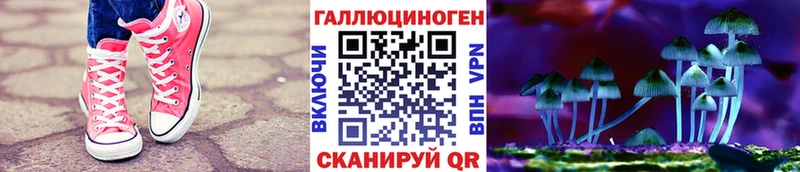 Псилоцибиновые грибы ЛСД где найти наркотики Ковров